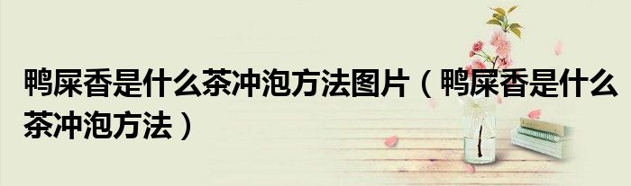 鸭屎香是什么茶冲泡方法图片（鸭屎香是什么茶冲泡方法）