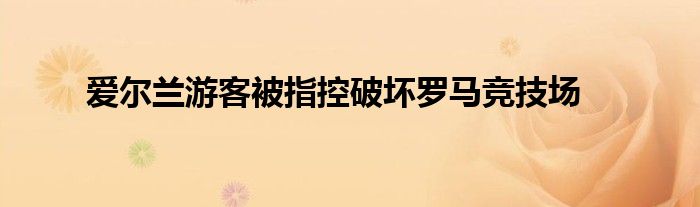 爱尔兰游客被指控破坏罗马竞技场