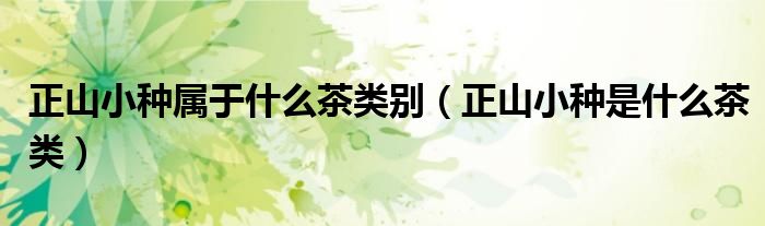 正山小种属于什么茶类别（正山小种是什么茶类）