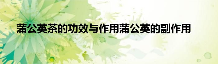 蒲公英茶的功效与作用蒲公英的副作用