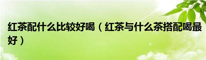 红茶配什么比较好喝（红茶与什么茶搭配喝最好）