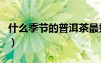 什么季节的普洱茶最好（普洱茶采摘季节介绍）