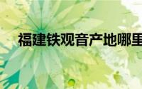 福建铁观音产地哪里（福建铁观音产地）