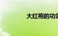 大红袍的功效与作用禁忌