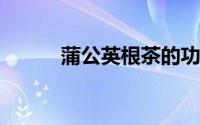 蒲公英根茶的功效与作用和禁忌