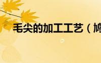 毛尖的加工工艺（鸠坑毛尖的制作工艺）