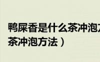 鸭屎香是什么茶冲泡方法图片（鸭屎香是什么茶冲泡方法）