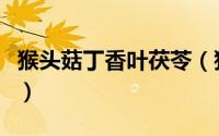 猴头菇丁香叶茯苓（猴头菇丁香茯苓茶的功效）