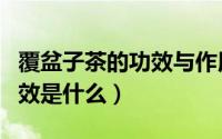 覆盆子茶的功效与作用（覆盆子茶的作用与功效是什么）