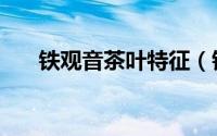 铁观音茶叶特征（铁观音的茶叶外形）