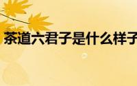 茶道六君子是什么样子（茶道六君子是什么）