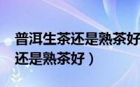 普洱生茶还是熟茶好?（收藏普洱茶是生茶好还是熟茶好）