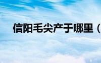 信阳毛尖产于哪里（信阳毛尖主要产区）