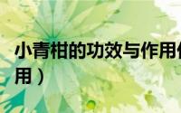 小青柑的功效与作用价格（小青柑的功效与作用）