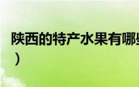 陕西的特产水果有哪些（陕西水果特产有哪些）