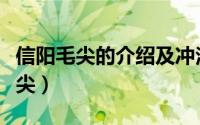 信阳毛尖的介绍及冲泡方法（如何冲泡信阳毛尖）