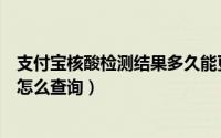 支付宝核酸检测结果多久能更新出来（支付宝核酸检测结果怎么查询）