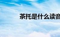茶托是什么读音（茶托是什么）