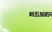 刺五加的功效与作用
