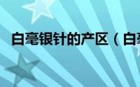白毫银针的产区（白毫银针产地在哪个省）