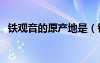 铁观音的原产地是（铁观音的产地和特点）