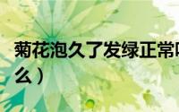 菊花泡久了发绿正常吗（菊花泡久了发绿有害么）