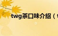 twg茶口味介绍（twg茶哪个最经典）