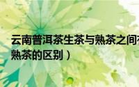 云南普洱茶生茶与熟茶之间有什么区别（云南普洱茶生茶和熟茶的区别）