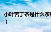 小叶苦丁茶是什么茶种（小叶苦丁茶是什么茶）
