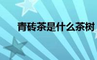 青砖茶是什么茶树（青砖茶是什么茶）