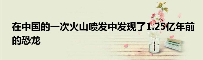 在中国的一次火山喷发中发现了1.25亿年前的恐龙