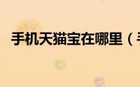 手机天猫宝在哪里（手机怎么查看天猫宝）