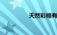 天然彩棉有多少种颜色