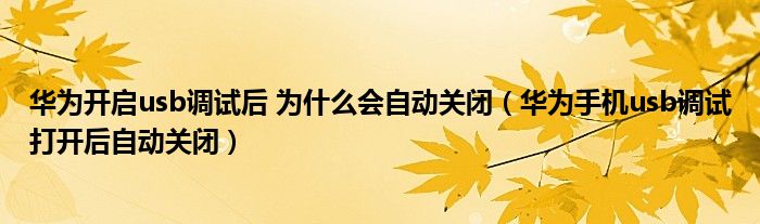 华为开启usb调试后 为什么会自动关闭（华为手机usb调试打开后自动关闭）