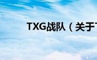 TXG战队（关于TXG战队的简介）