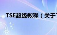 TSE超级教程（关于TSE超级教程的简介）