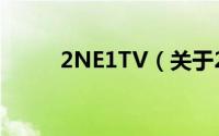 2NE1TV（关于2NE1TV的简介）