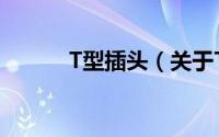 T型插头（关于T型插头的简介）