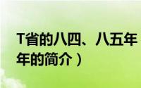 T省的八四、八五年（关于T省的八四、八五年的简介）