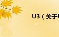 U3（关于U3的简介）