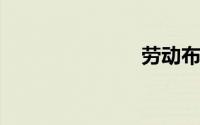 劳动布是什么