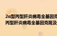 2α型丙型肝炎病毒全基因克隆及复制子的构建（关于2α型丙型肝炎病毒全基因克隆及复制子的构建的简介）