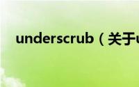 underscrub（关于underscrub的简介）