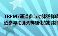 TRPM7通道参与动脉粥样硬化的机制研究（关于TRPM7通道参与动脉粥样硬化的机制研究的简介）