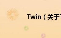 Twin（关于Twin的简介）