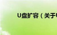 U盘扩容（关于U盘扩容的简介）