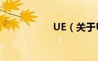 UE（关于UE的简介）