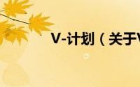 V-计划（关于V-计划的简介）