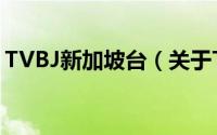 TVBJ新加坡台（关于TVBJ新加坡台的简介）