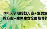 280天孕期胎教方案+生男生女全面指导（关于280天孕期胎教方案+生男生女全面指导的简介）